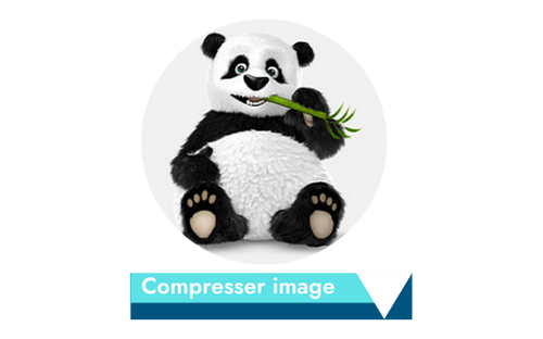 TinyPNG compression d’image